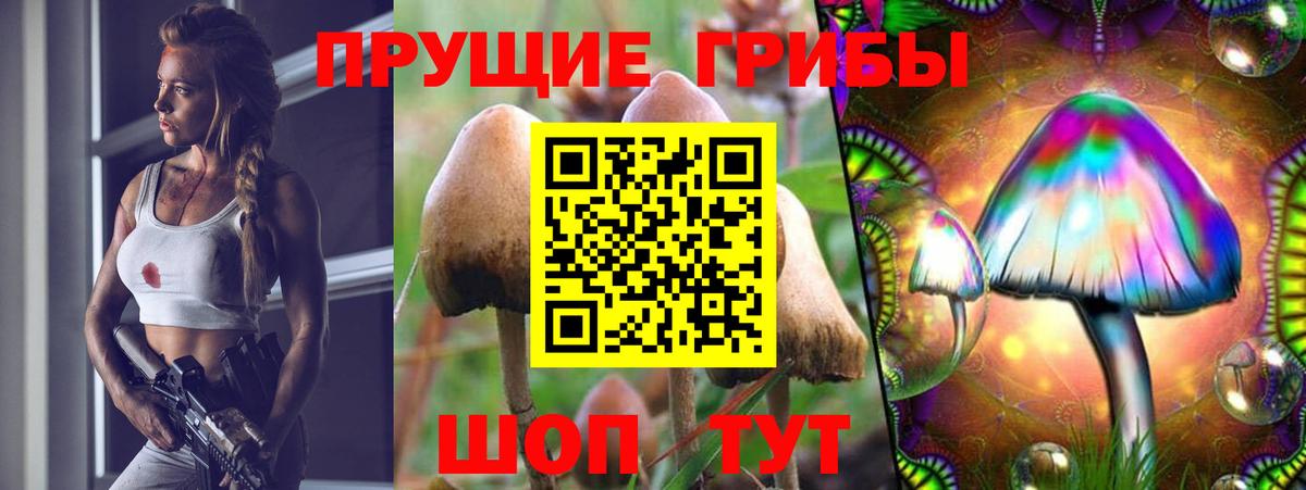 Урюпинск  Галлюциногенные грибы мицелий  наркотики  Галлюциногенные грибы ЛСД  Вход с VPN 
