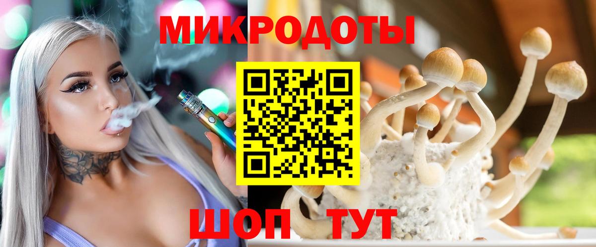Галлюциногенные грибы Psilocybe Урюпинск